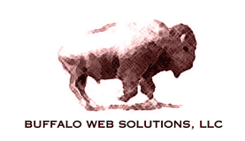 Welcome to Buffalo Web Solutions!