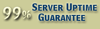 99% Server Uptime Guarantee!